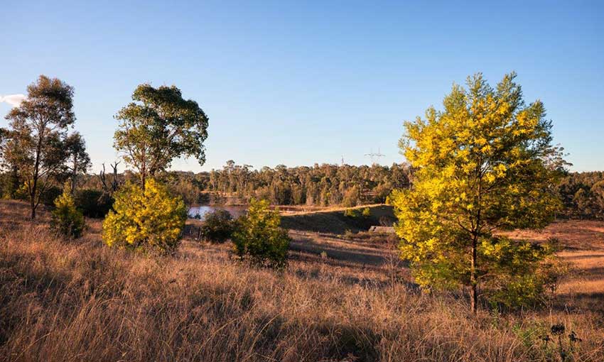 emerald hills rural area