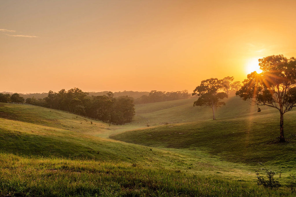 rural area at sunset near the gardens