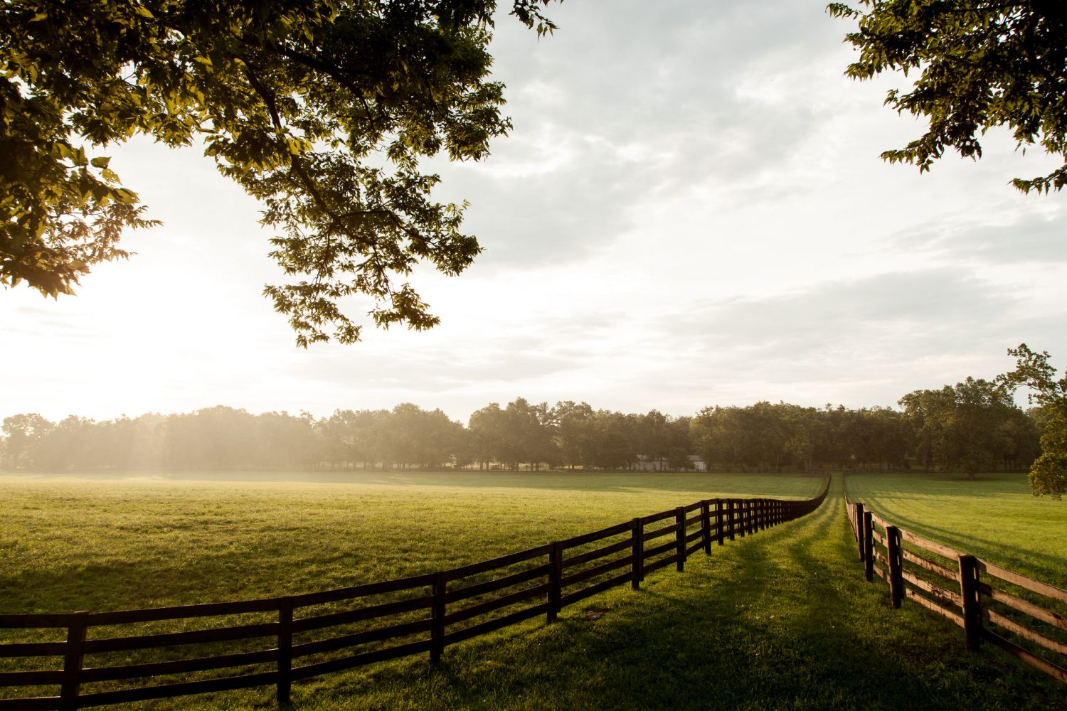 acreage in menangle park