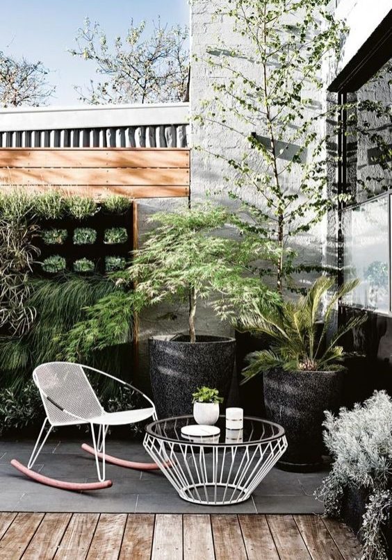 Coastal garden