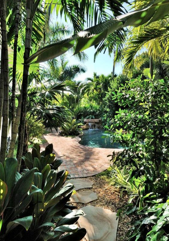 Tropical garden