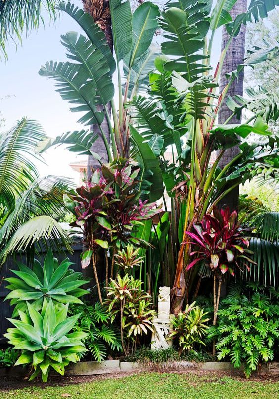 Tropical garden